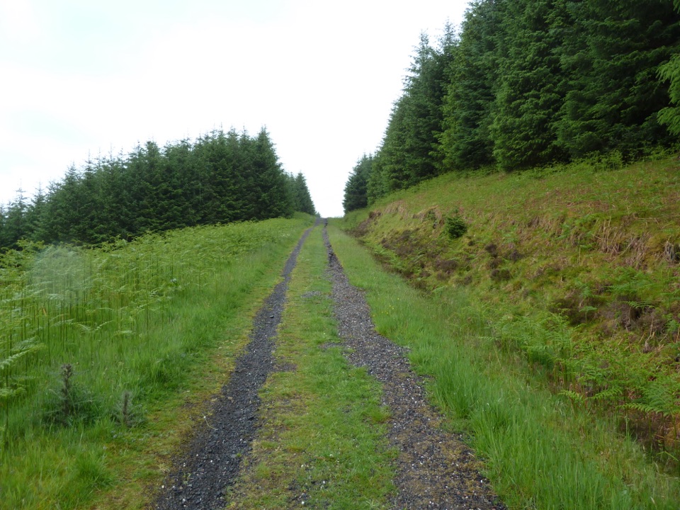 Rob Roy Way in Loch Lomond & The Trossachs National Park