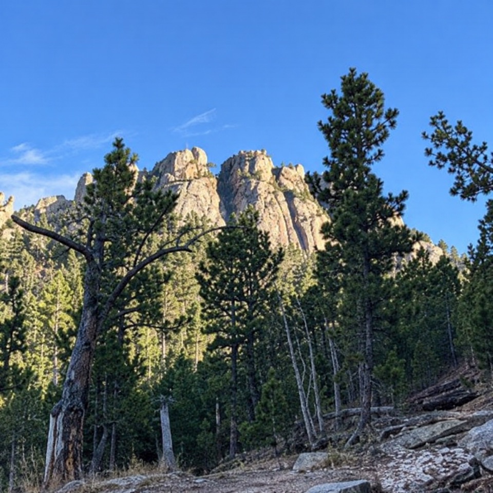 Willow Creek Rushmore Trail #5 in Mount Rushmore National Memorial
