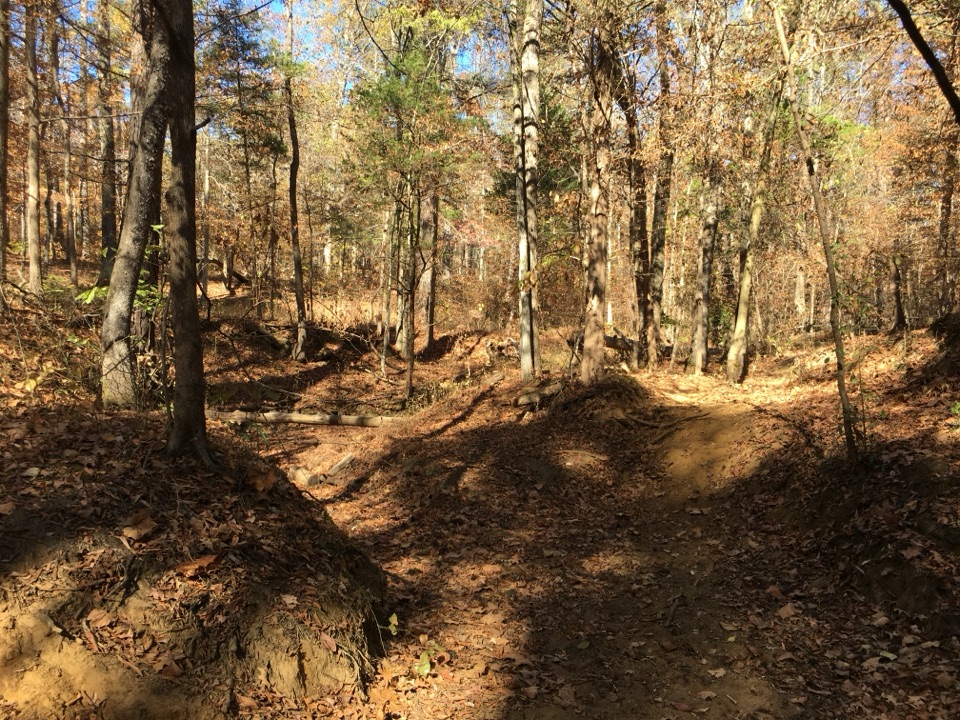 Witch Dance Horse Trail in Natchez Trace Parkway