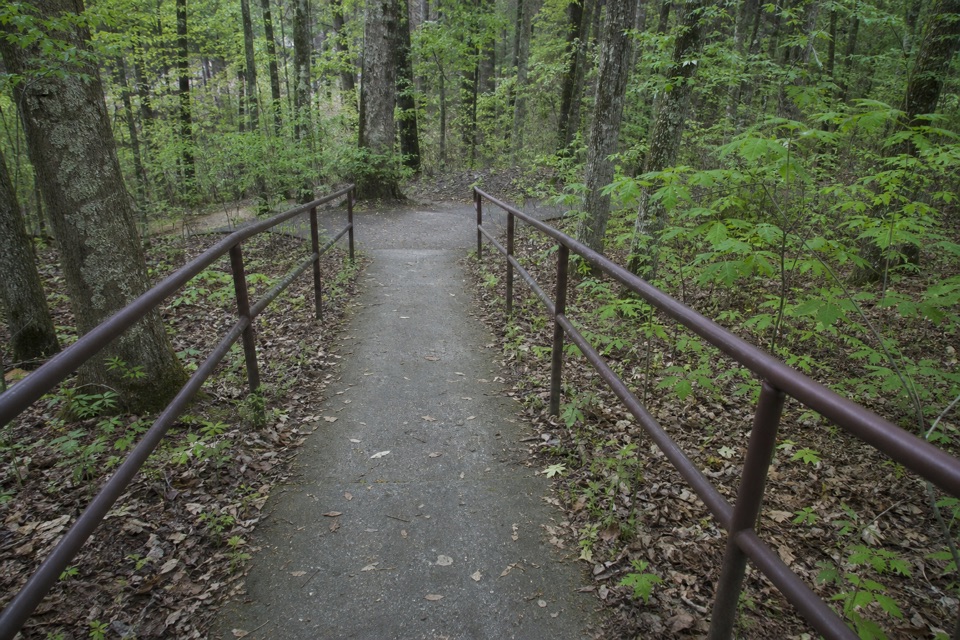 Hurricane Creek Nature Trail in Natchez Trace Parkway