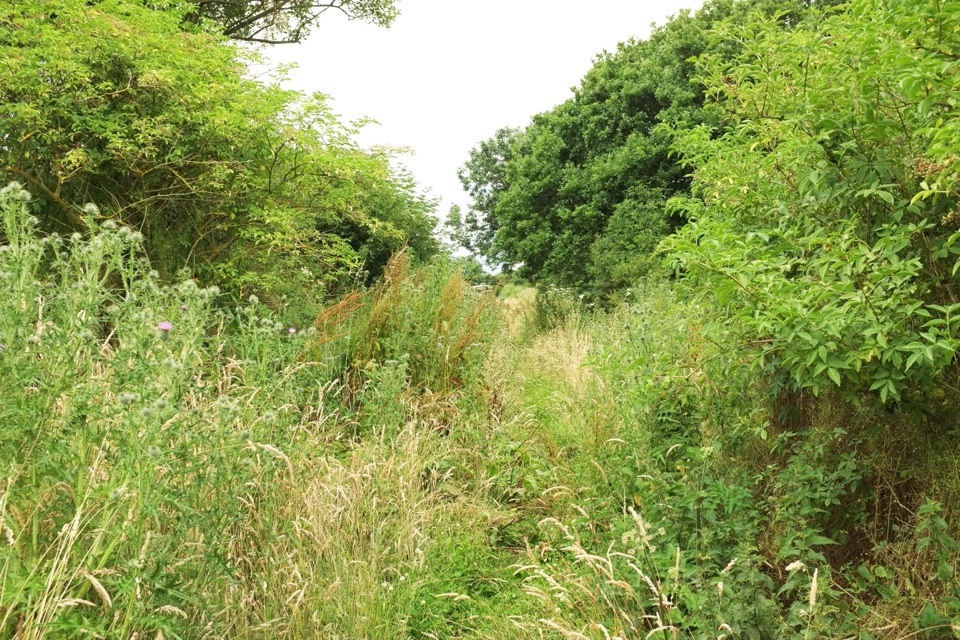 Breamore Railway Line in New Forest National Park