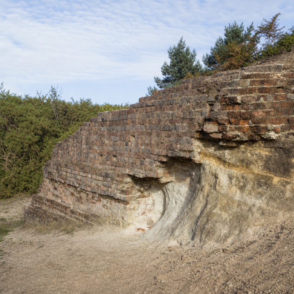 Burbush Walk in New Forest National Park