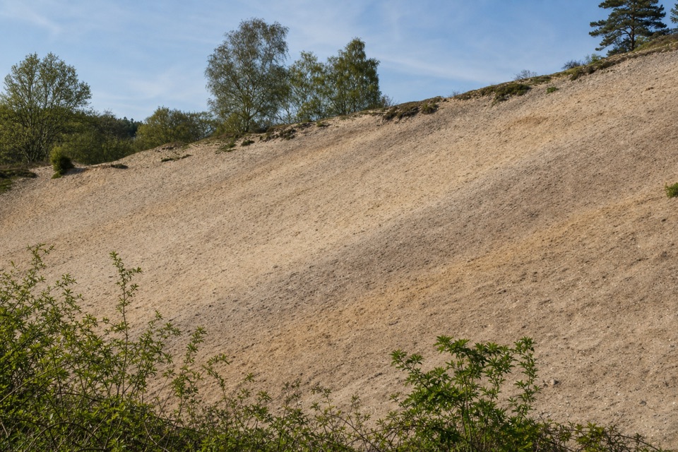 Rockford Common Walk in New Forest National Park