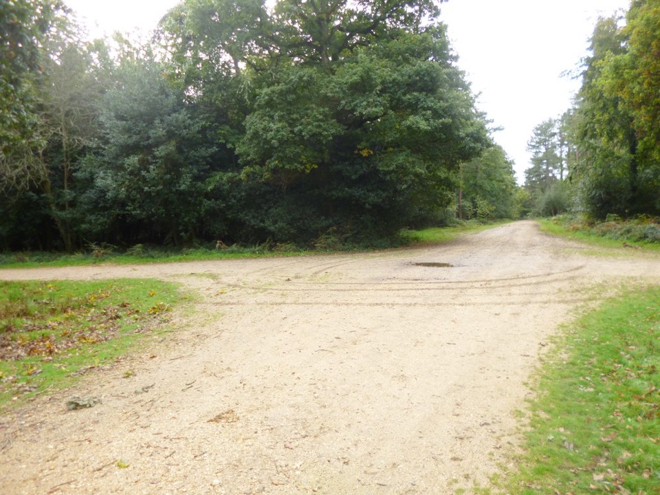 Setthorns Loop in New Forest National Park