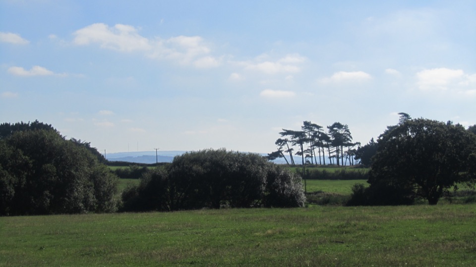 The Lepe Loop in New Forest National Park