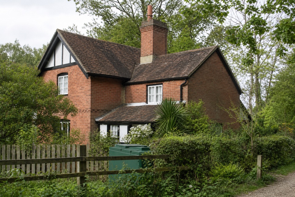 Ashurst Stroll in New Forest National Park