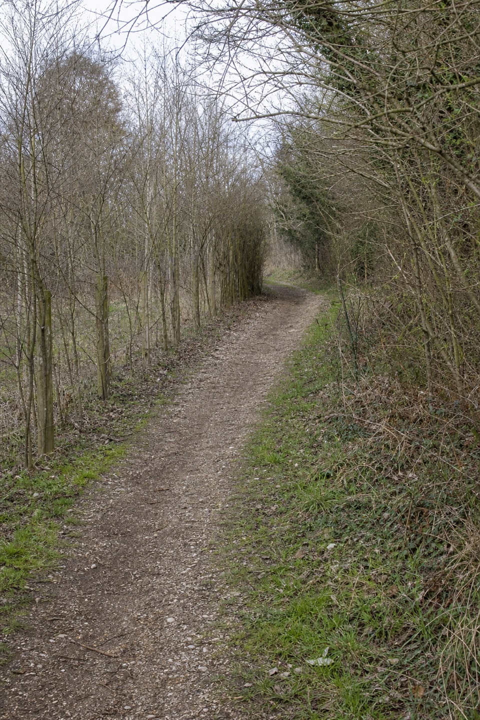 Avon Valley Path in New Forest National Park