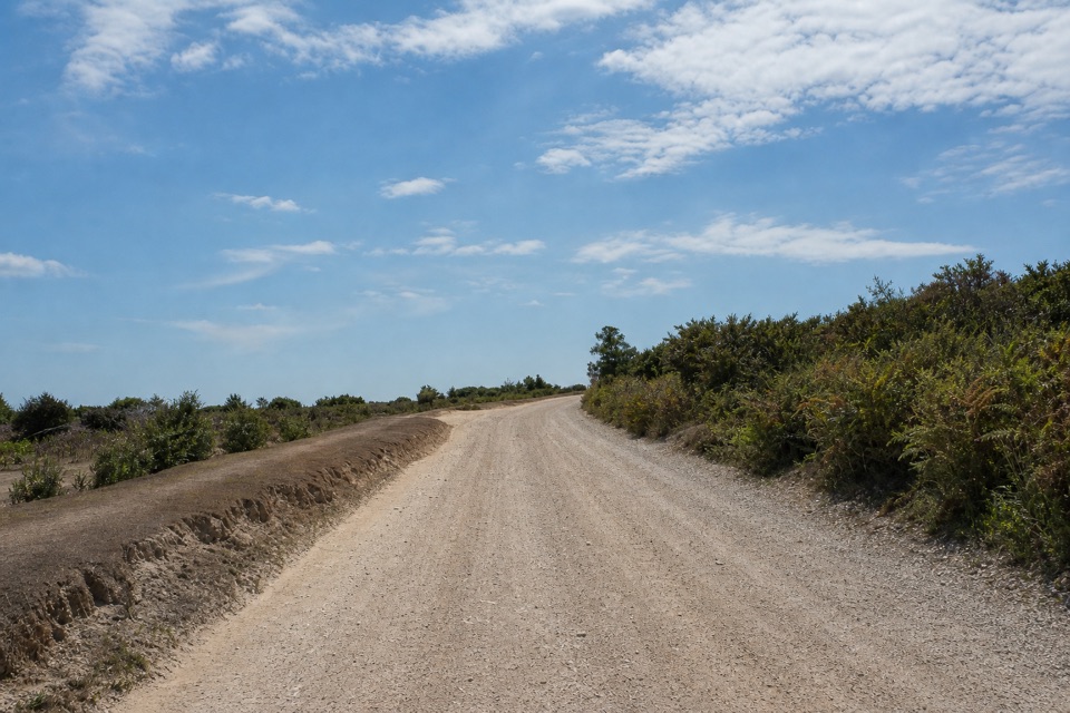 High Corner Walk in New Forest National Park