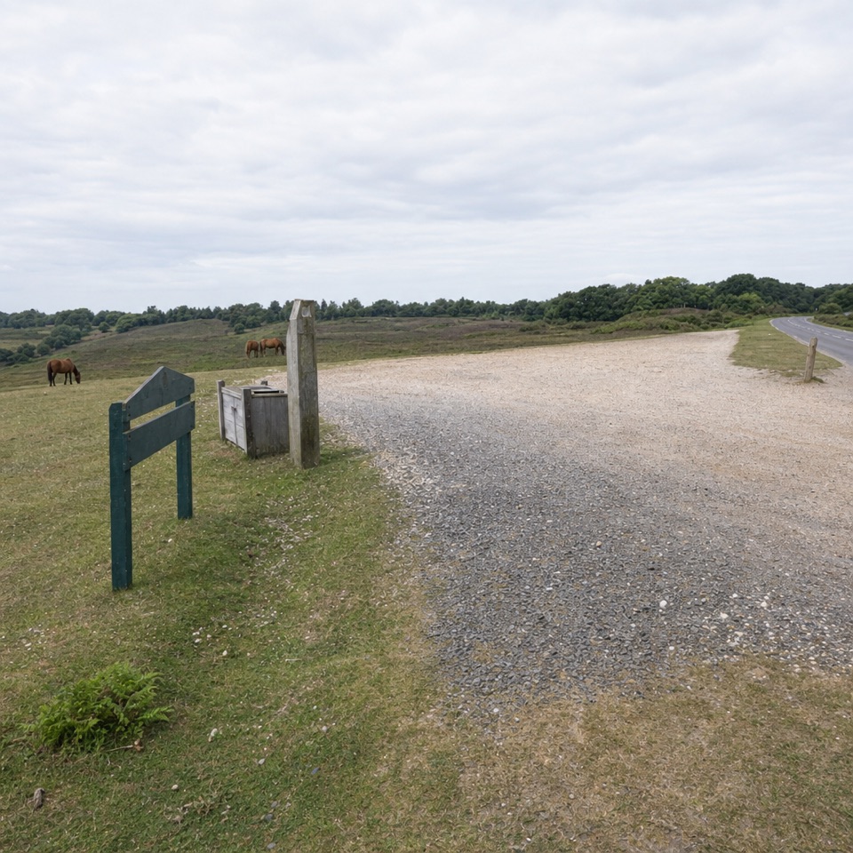 Picket Post Walk in New Forest National Park
