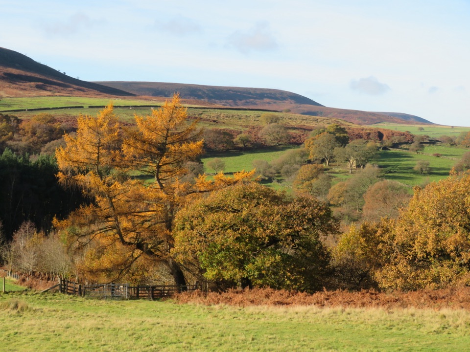Hawnby Circular in North York Moors National Park
