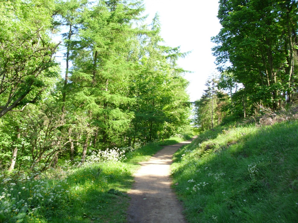 Hutton Lowcross Trail in North York Moors National Park