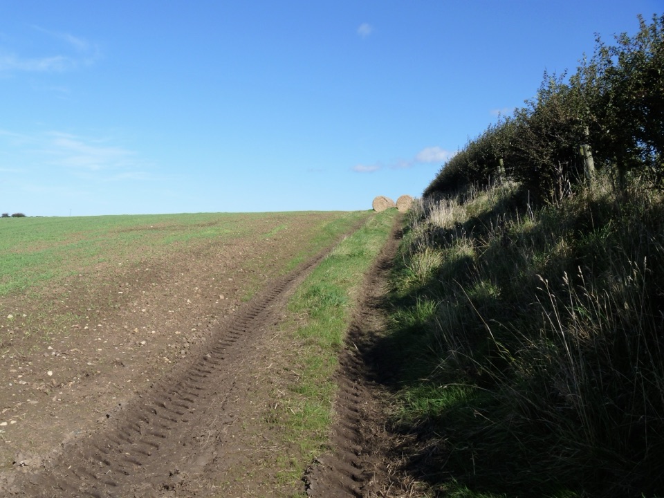 Guard House Way in North York Moors National Park