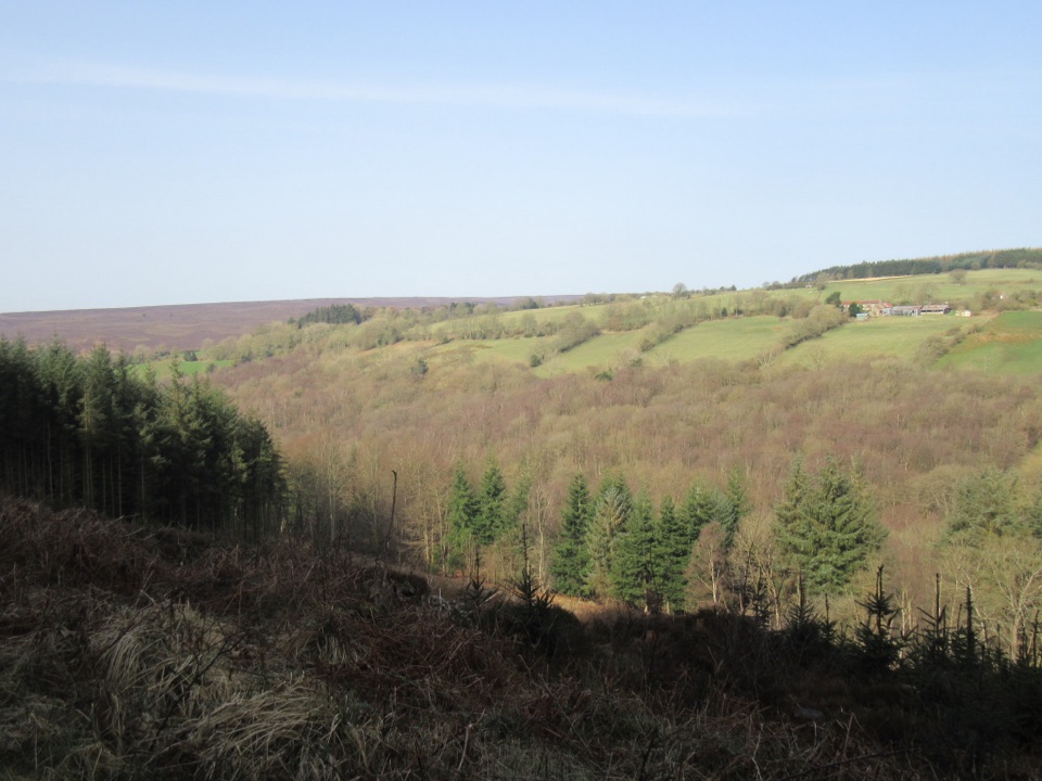 Cropton Forest Ramble in North York Moors National Park