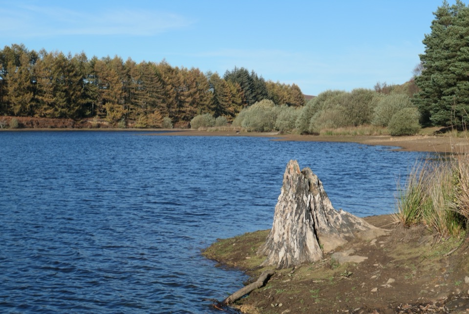 Cod Beck Reservoir Circular in North York Moors National Park