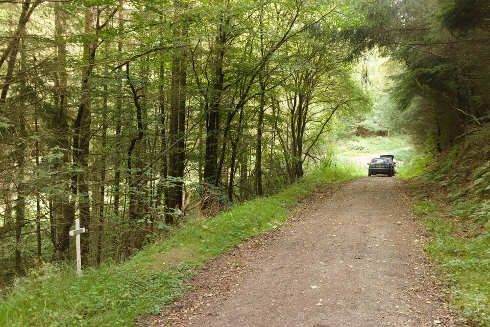 Sneverdale Rigg Rabbit Run in North York Moors National Park
