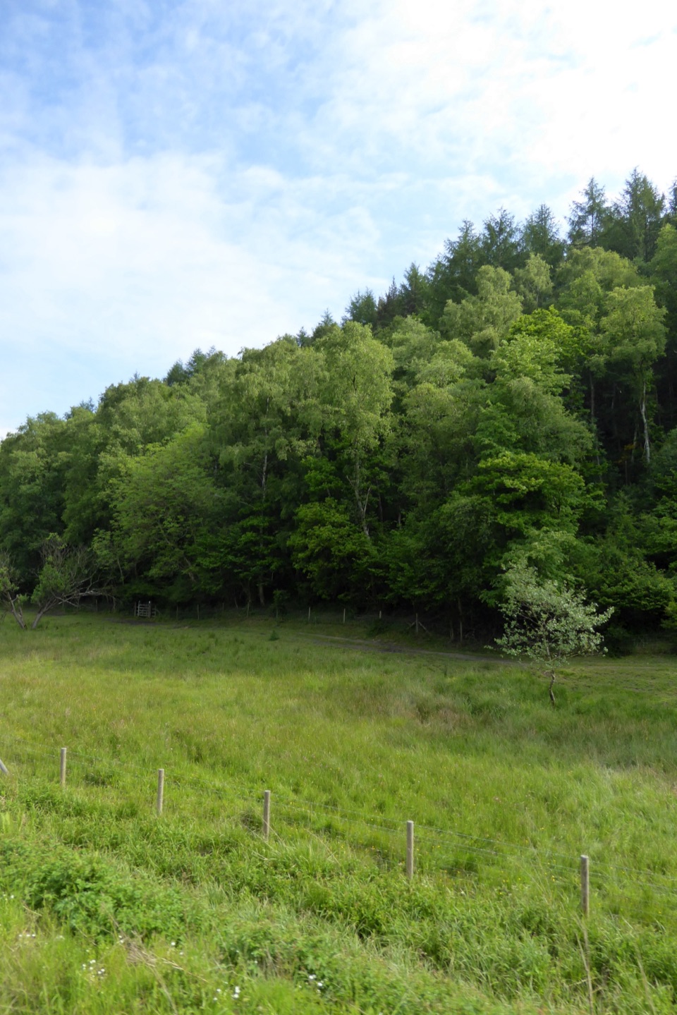 Saltergate to Pickering Walk in North York Moors National Park