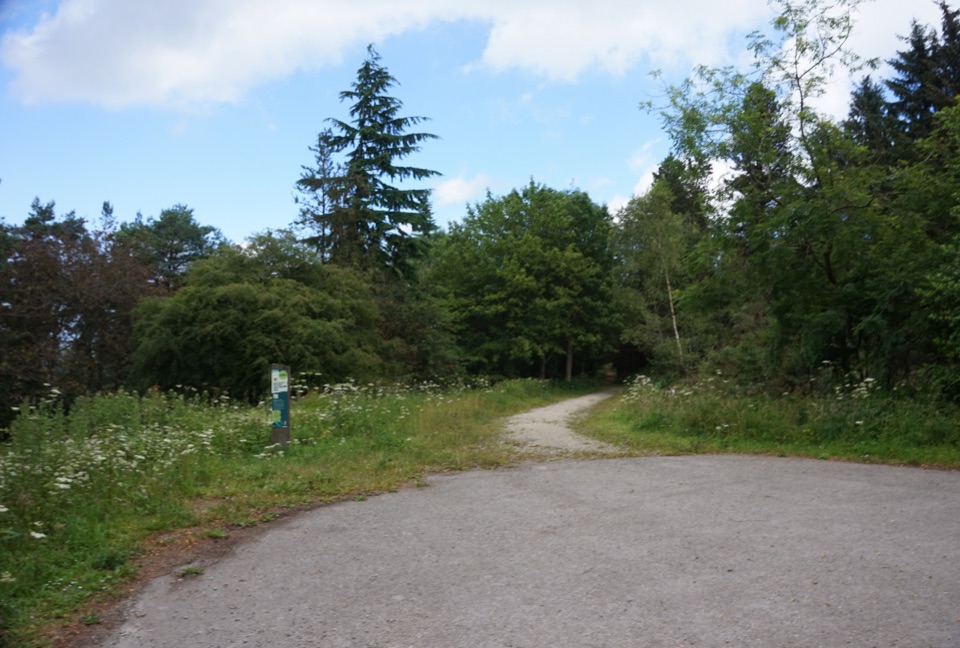 Waitcliff Trail in North York Moors National Park