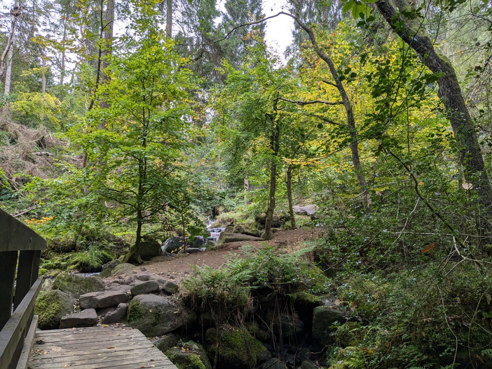Wyming Brook Nature Trail in Peak District National Park