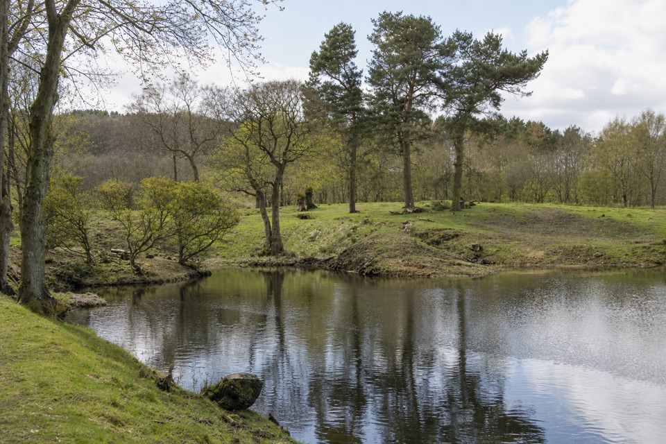 Lime Avenue Ponds Walk in Peak District National Park