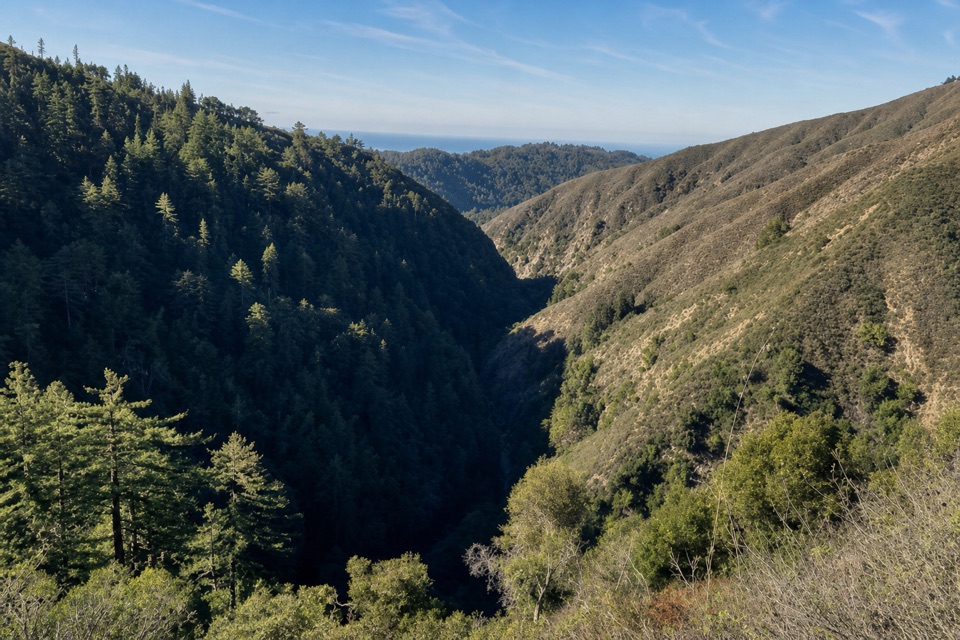 Pine Ridge Trail in Pfeiffer Big Sur State Park