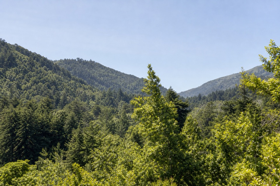 Pine Ridge and Post Creek Trail in Pfeiffer Big Sur State Park