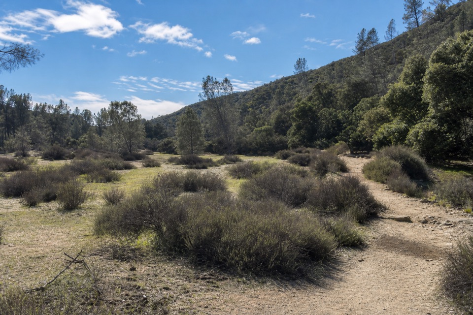 Bench Trail Accessible Section in Pinnacles National Park