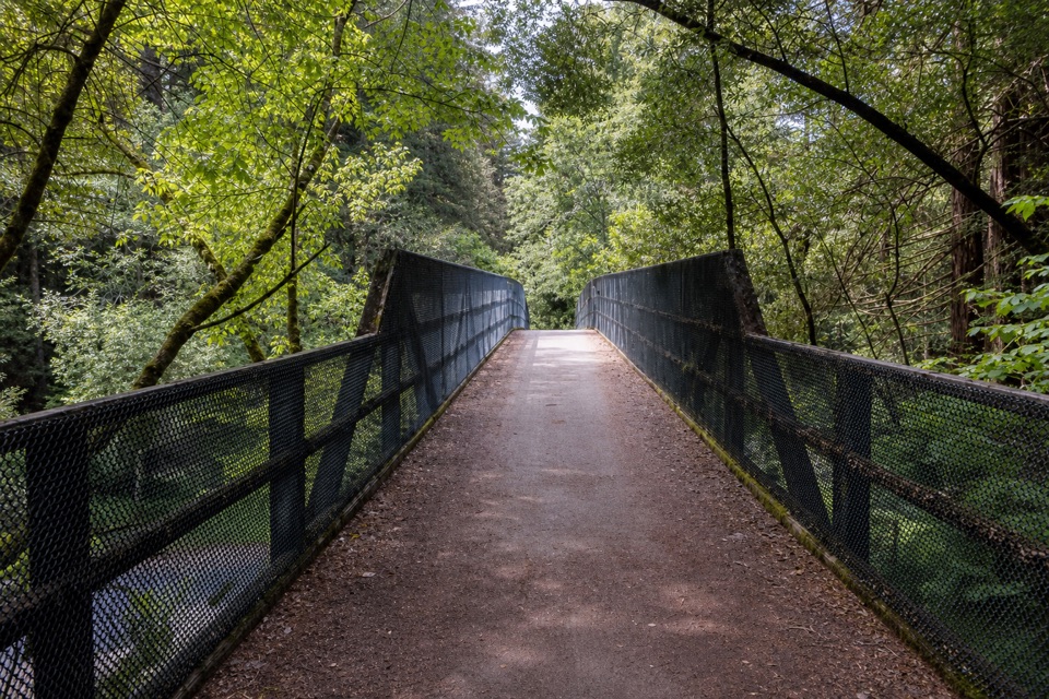 Cross Marin Trail in Point Reyes National Seashore