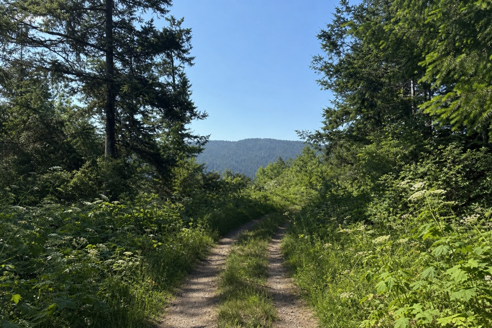 Randall Trail in Point Reyes National Seashore