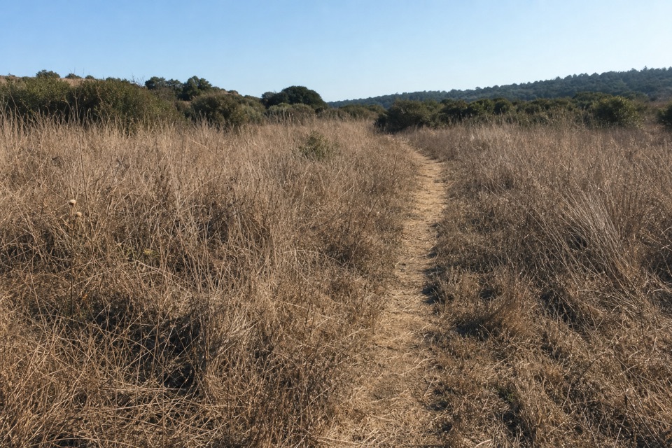 Olema Marsh Trail in Point Reyes National Seashore
