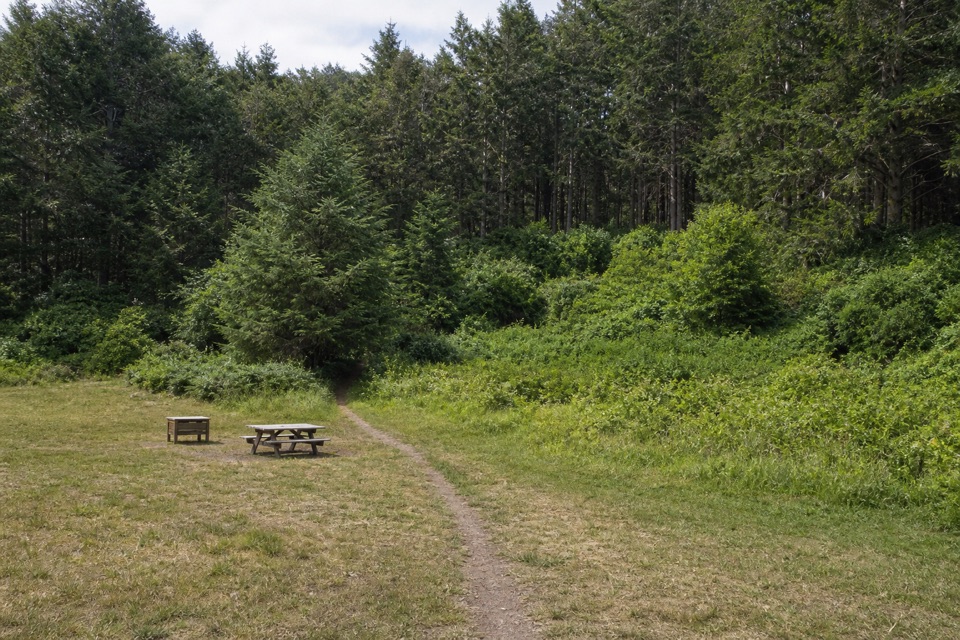 Glen Camp Loop via Bear Valley in Point Reyes National Seashore