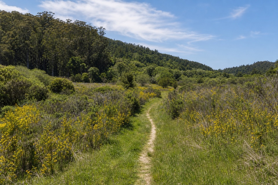 Pablo Point Trail in Point Reyes National Seashore