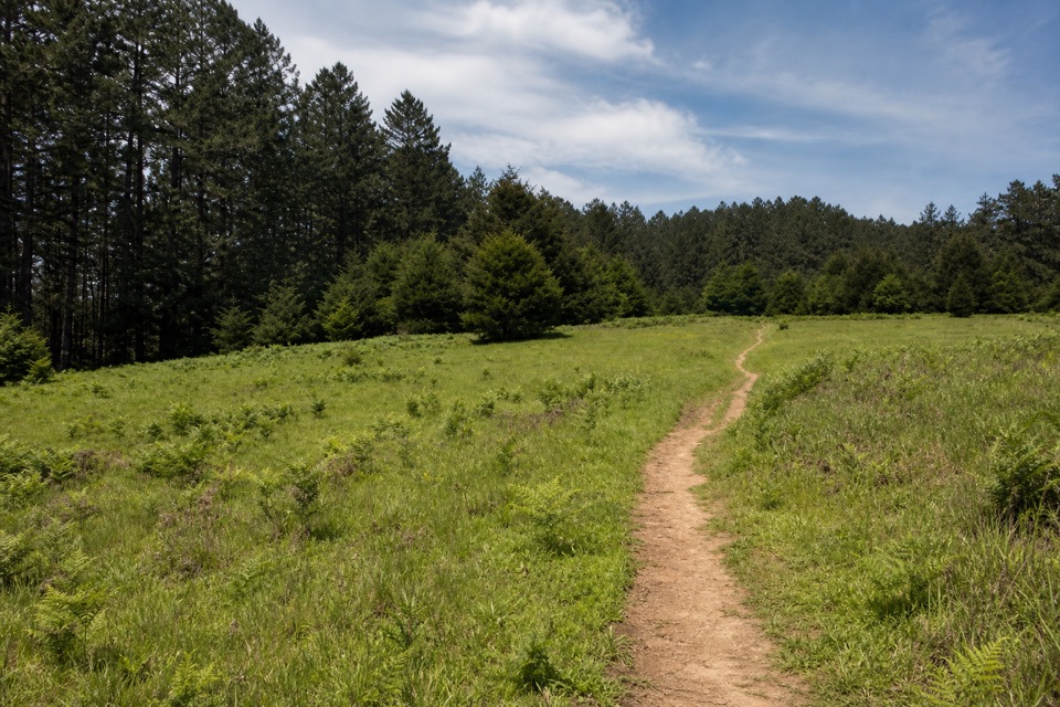Meadow–Horse Trails Loop in Point Reyes National Seashore
