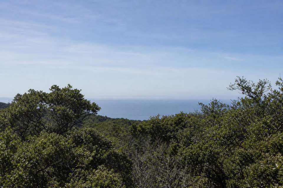 McCurdy Trail in Point Reyes National Seashore