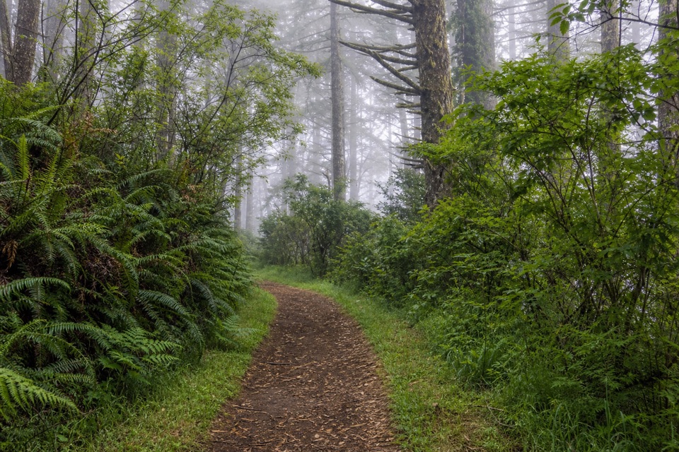 Sky–Z Ranch Loop in Point Reyes National Seashore