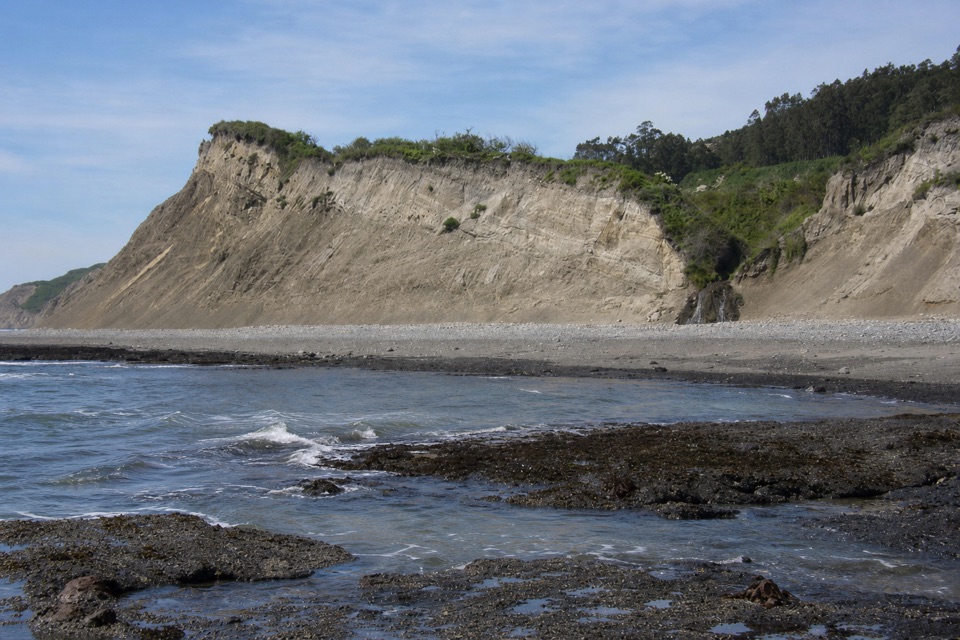 Palomarin Beach Trail in Point Reyes National Seashore