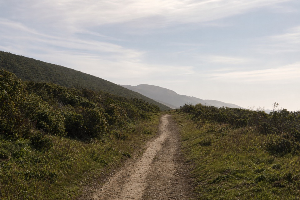 Laguna-Coast Loop in Point Reyes National Seashore