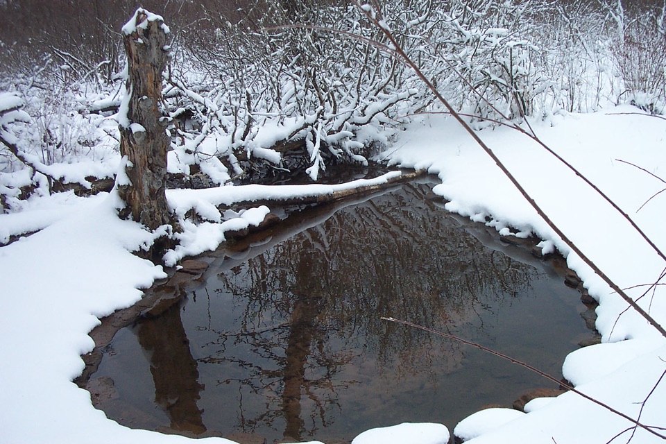 Bubbling Springs in Prince Edward Island National Park
