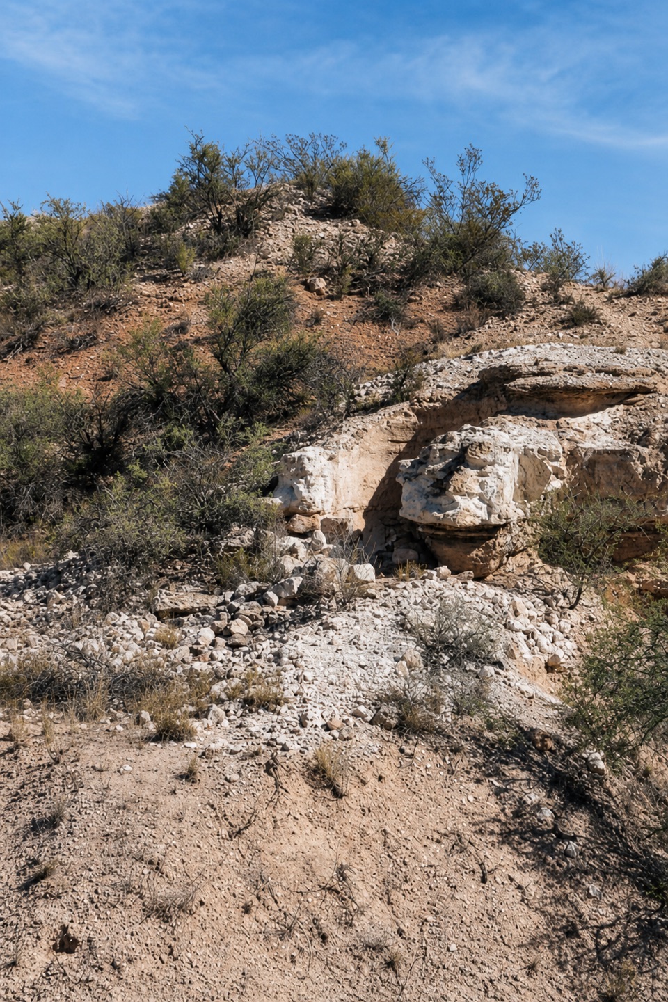 Lime Kiln Trail No. 82 in Red Rock State Park