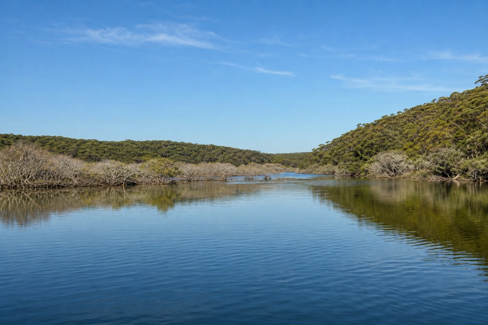 Costens Point Walk in Royal National Park