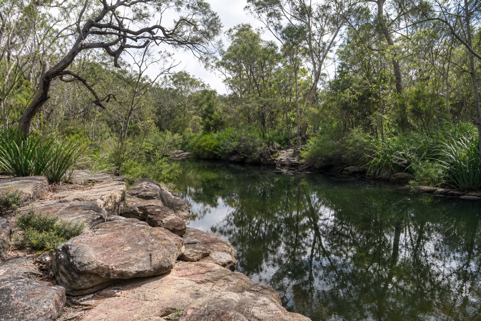 Flat Rock Creek Walk in Royal National Park