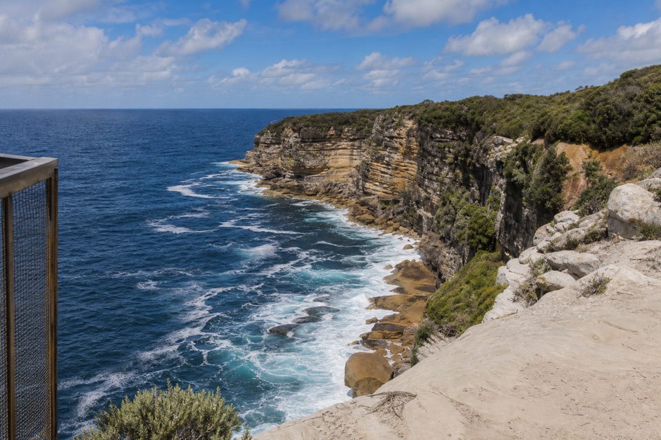 Jibbon Loop Track in Royal National Park