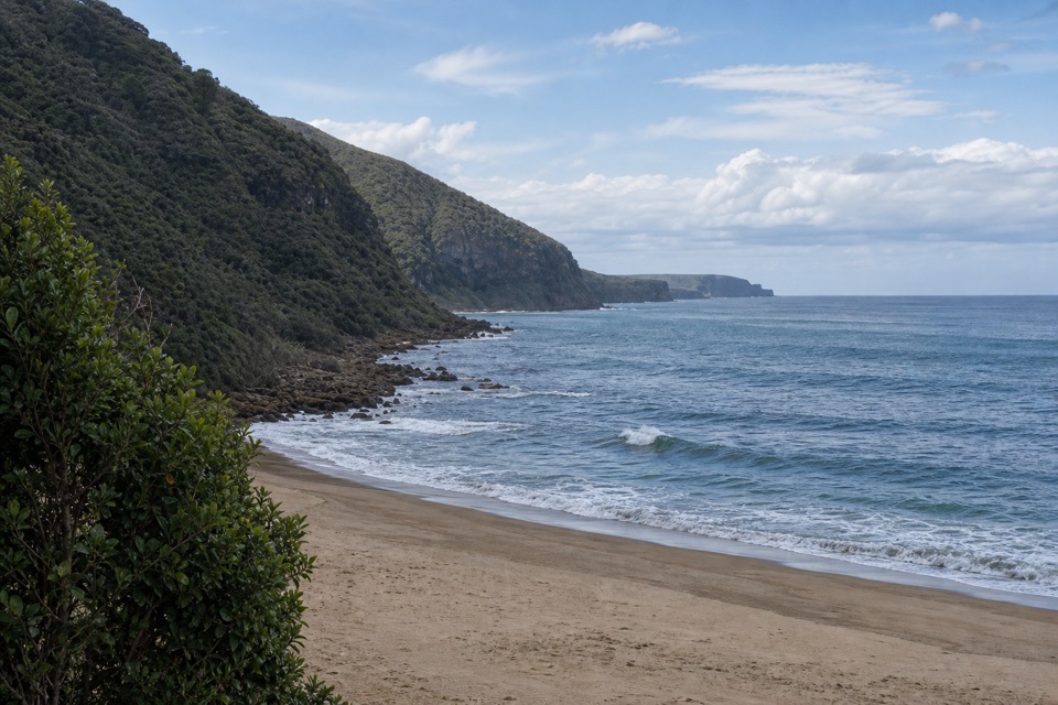 Bulgo Beach Track in Royal National Park