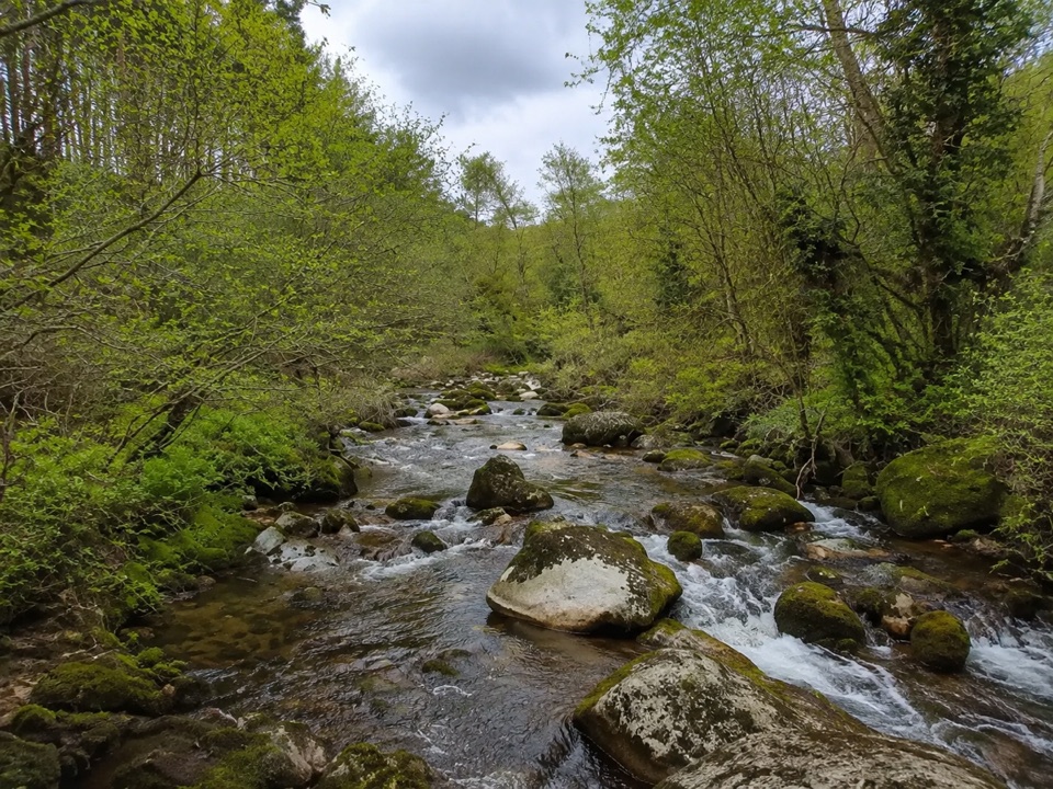 Brockagh Blue Loop in Wicklow Mountains National Park