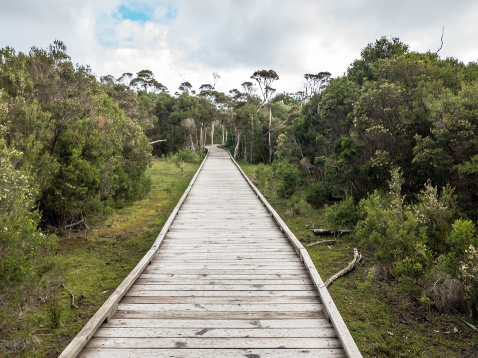 Loo-Errn Track in Wilsons Promontory National Park