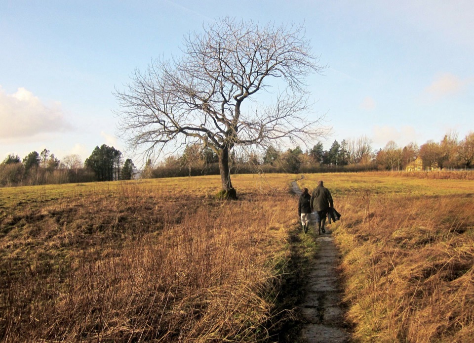 Grassington Meadows in Yorkshire Dales National Park